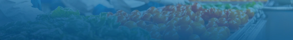 Connected blue lights